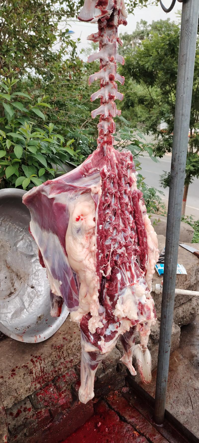 猪肉行业新风向：新鲜猪肉市场迎来春天