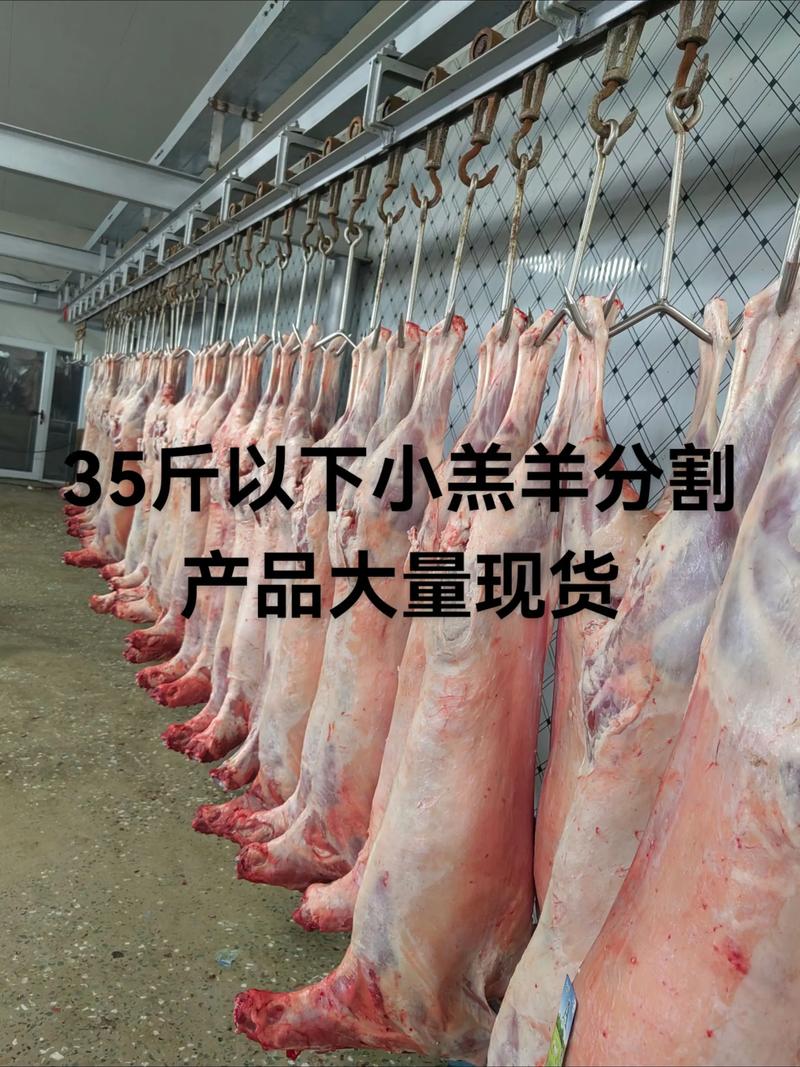 羊肉批发